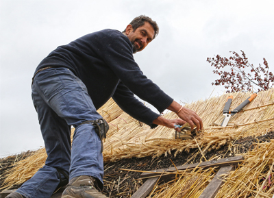 Thatching Wellington