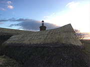 Somerset Roof Thatcher