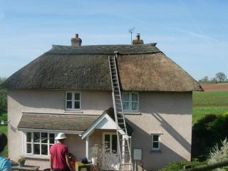 Somerset thatch maintenance