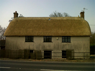 Taunton roof thatcher