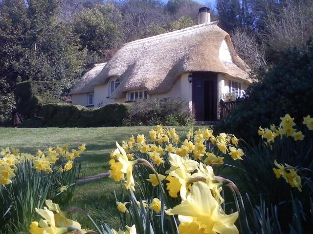 Blackdown Hills Thatcher