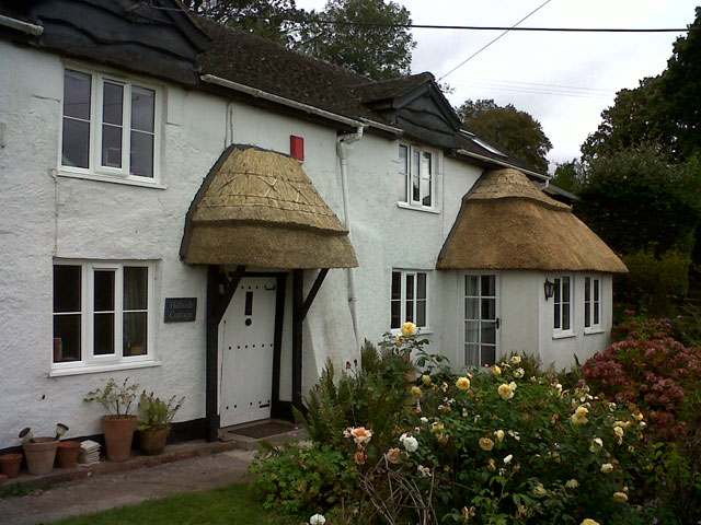 Roof thatcher Ilminster