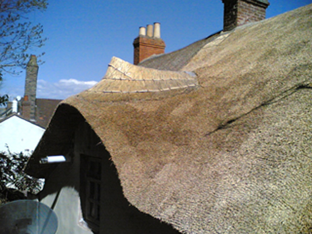 roof thatcher Somerset