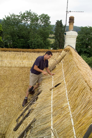 Bristol Roof Thatcher